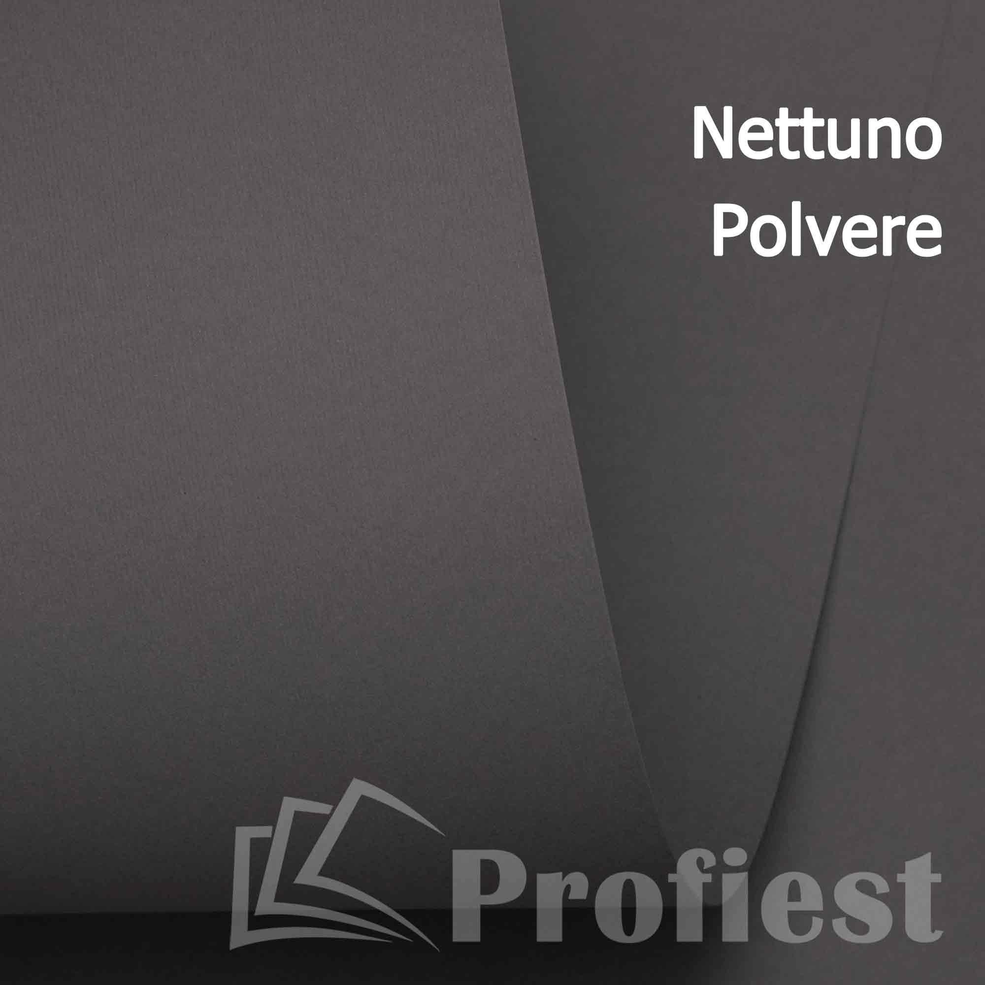 Nettuno Polvere 140 72x101