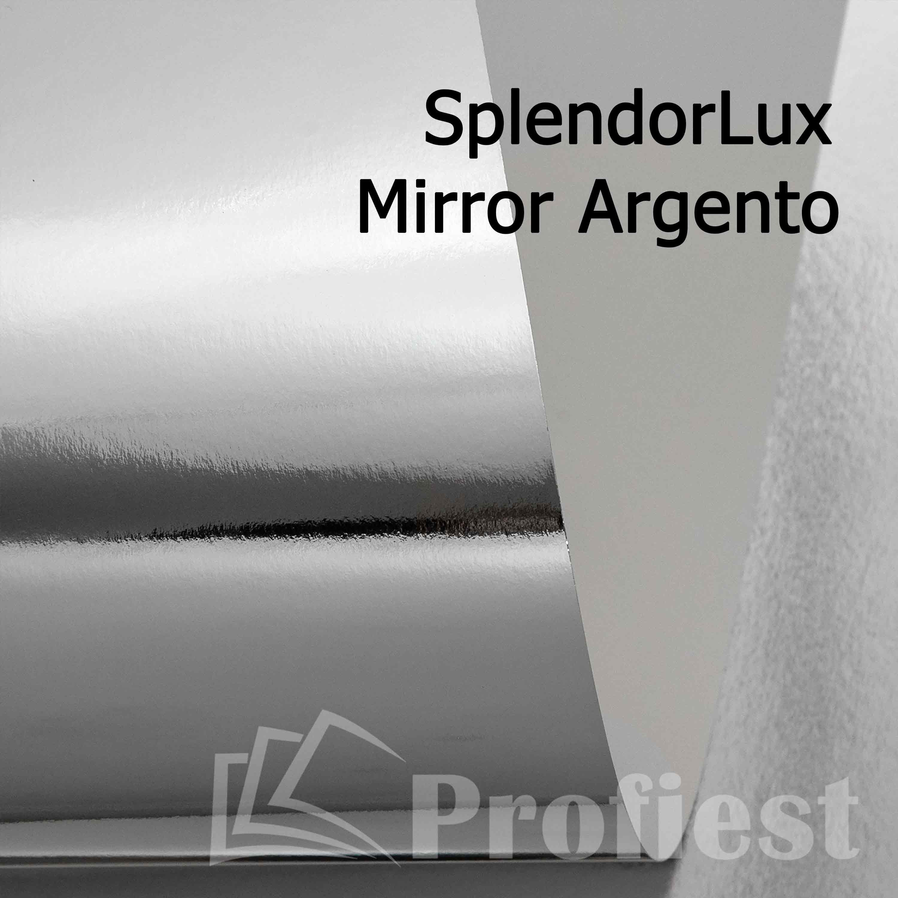 Splendorlux Mirror Argento 320 72x102