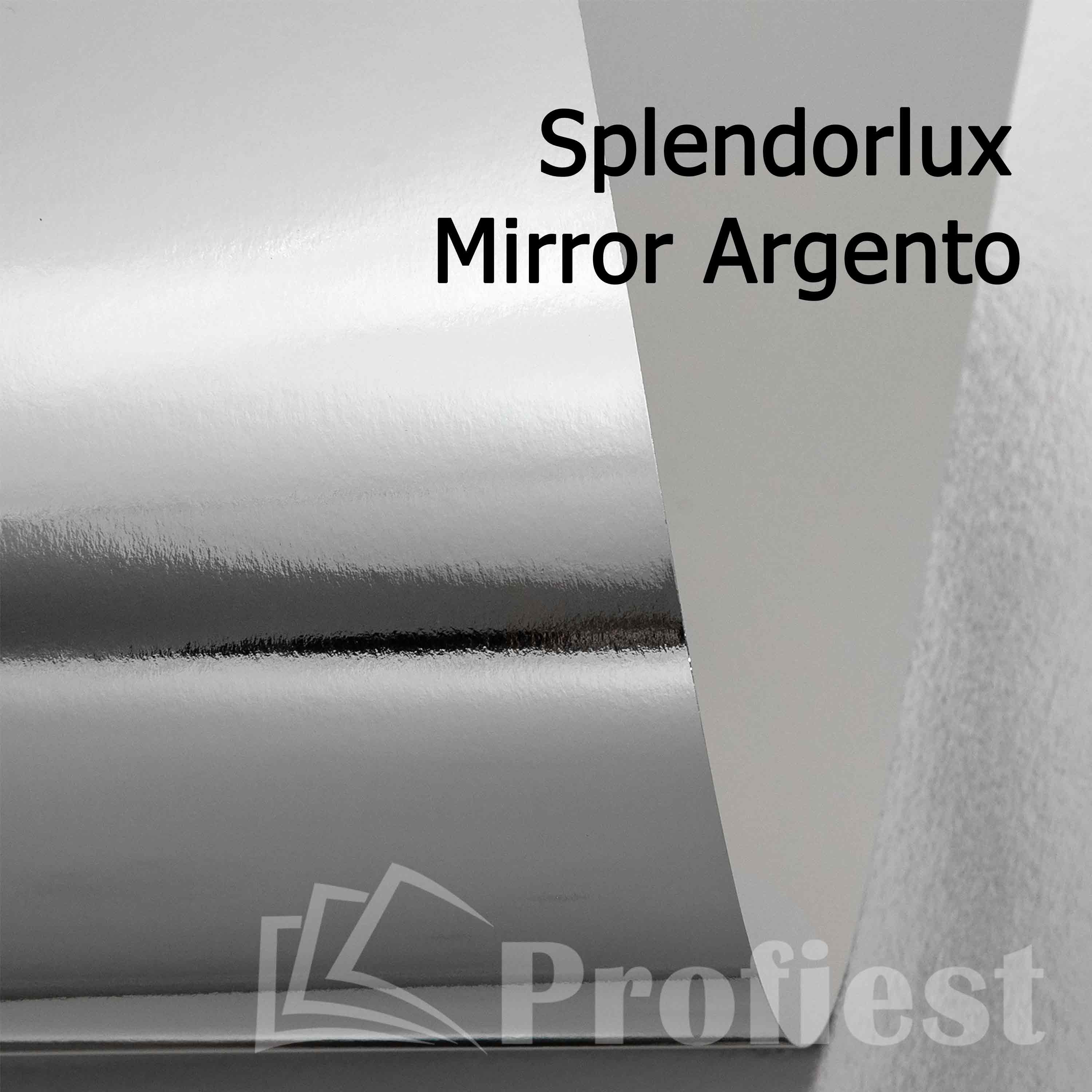 Splendorlux Mirror Argento 320 72x102
