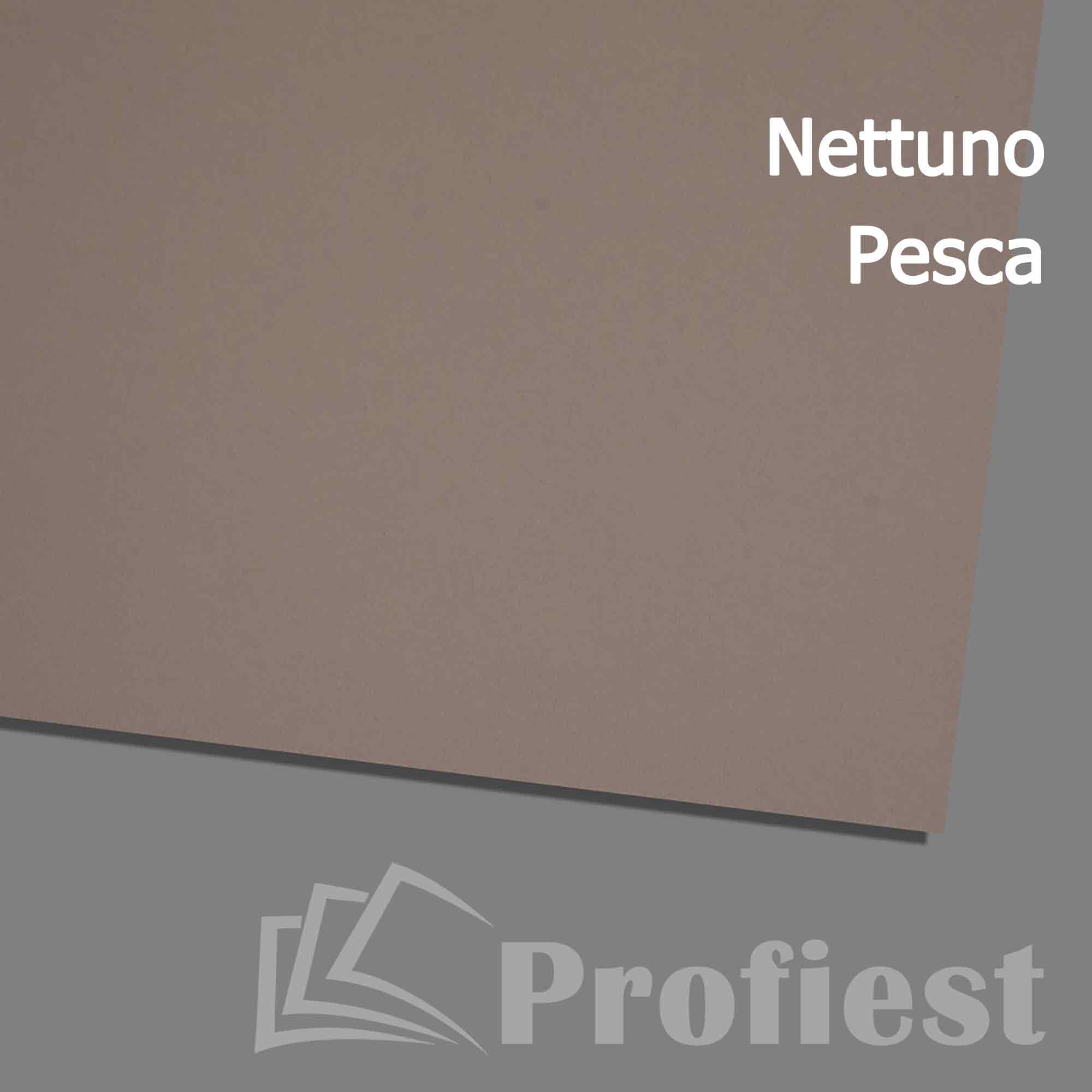 A4: Nettuno Pesca 140g
