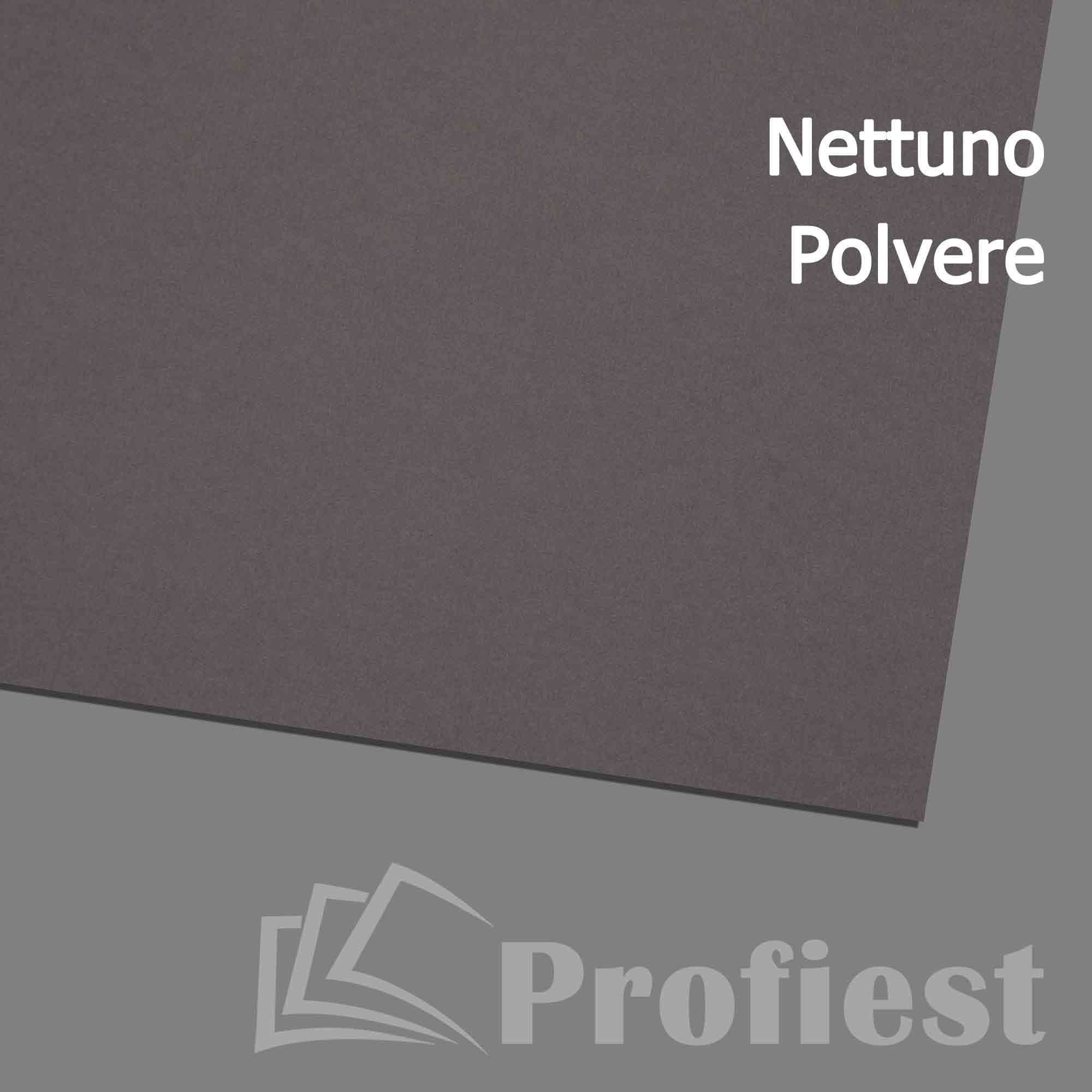 A4: Nettuno Polvere 140g