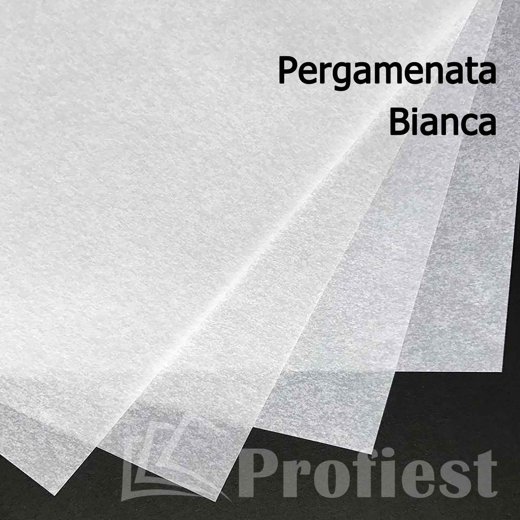 A4: Pergamenta Bianca 110g