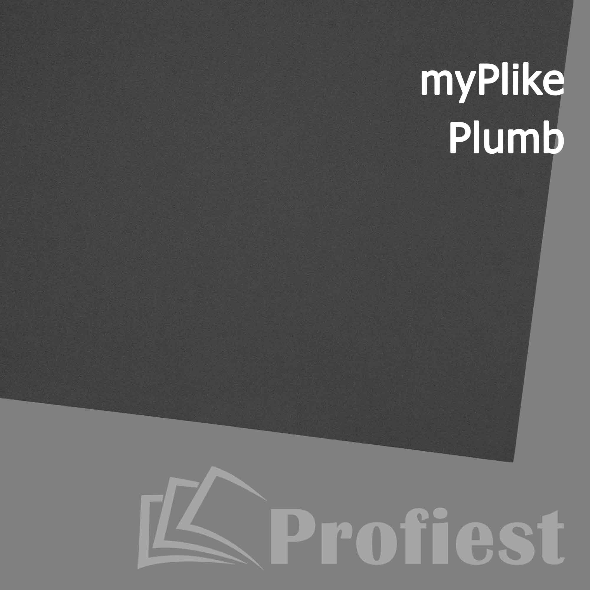 A4: Plike Plumb 2/SC 330g