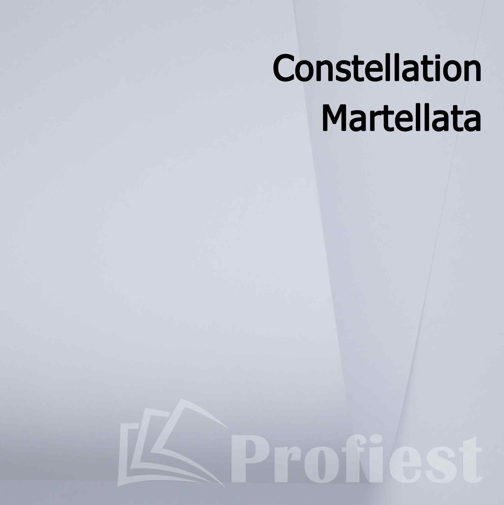 Const. Snow E07 Martellata 280 72x102