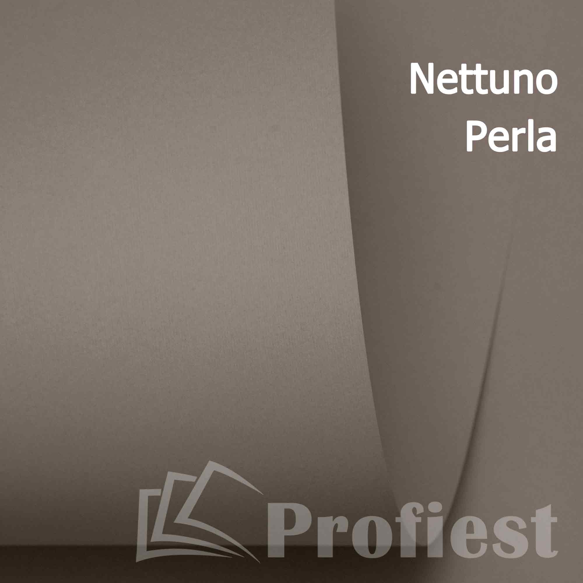 Nettuno Perla 215 72x101