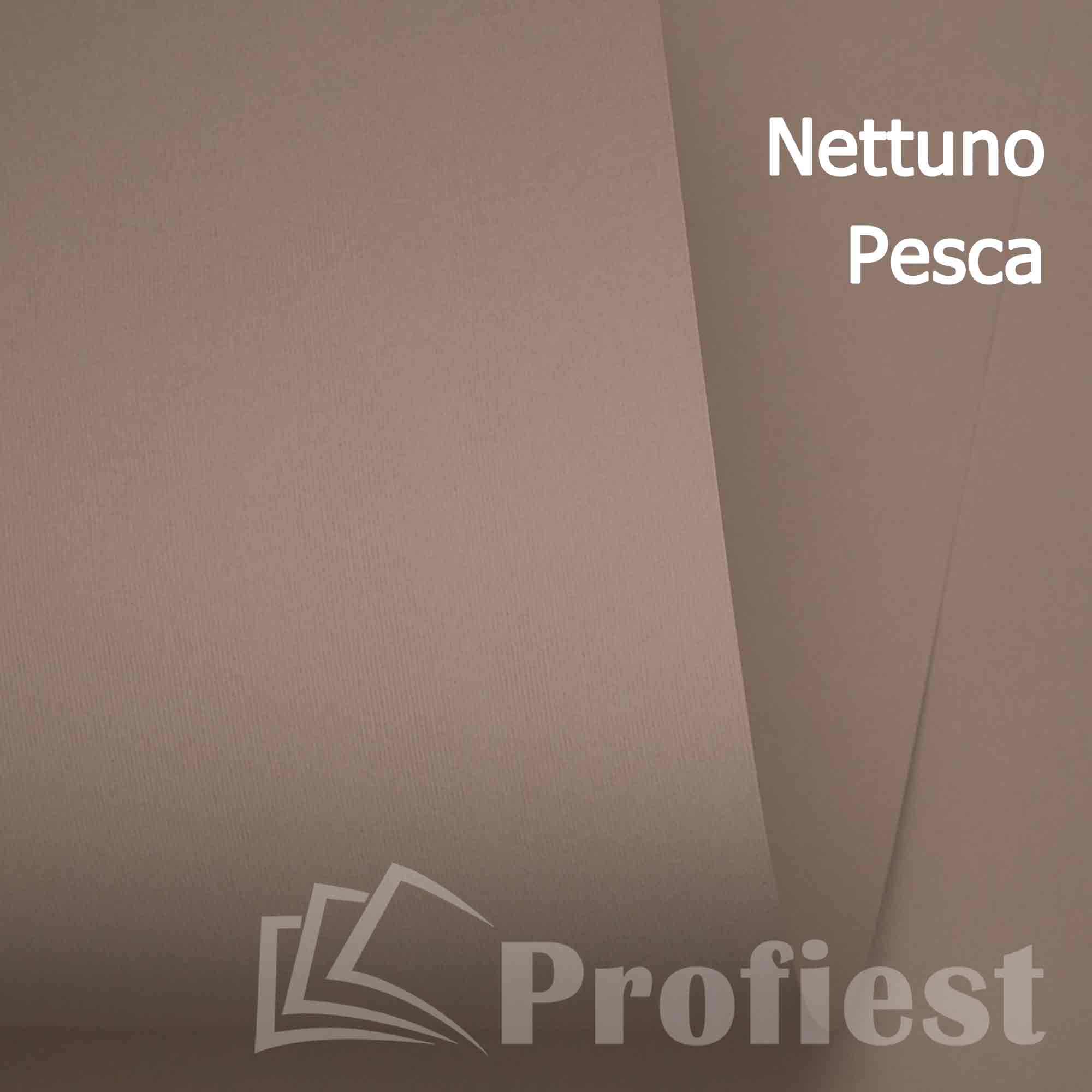 Nettuno Pesca 280 72х101