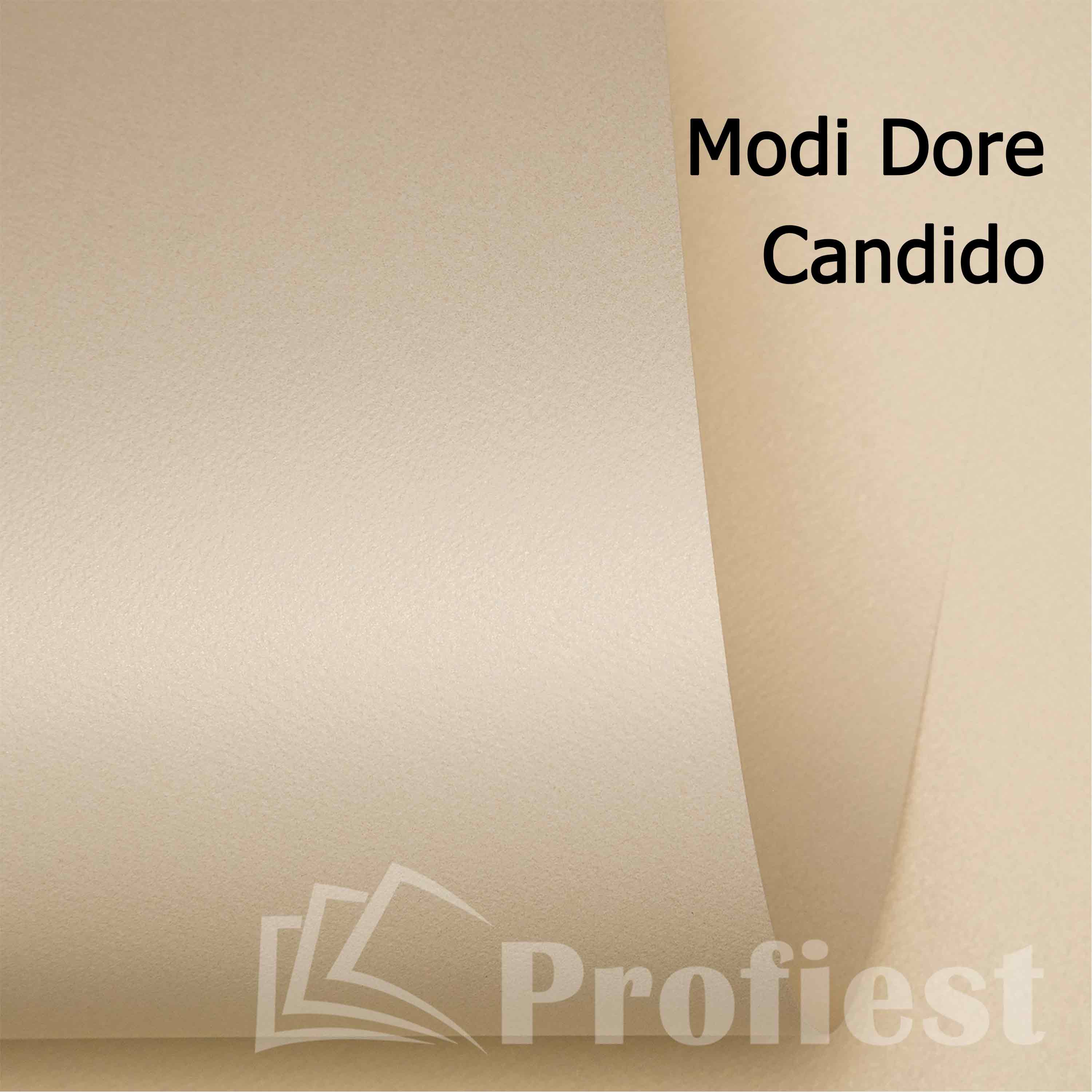 Modi Dore Candido 265 72x102