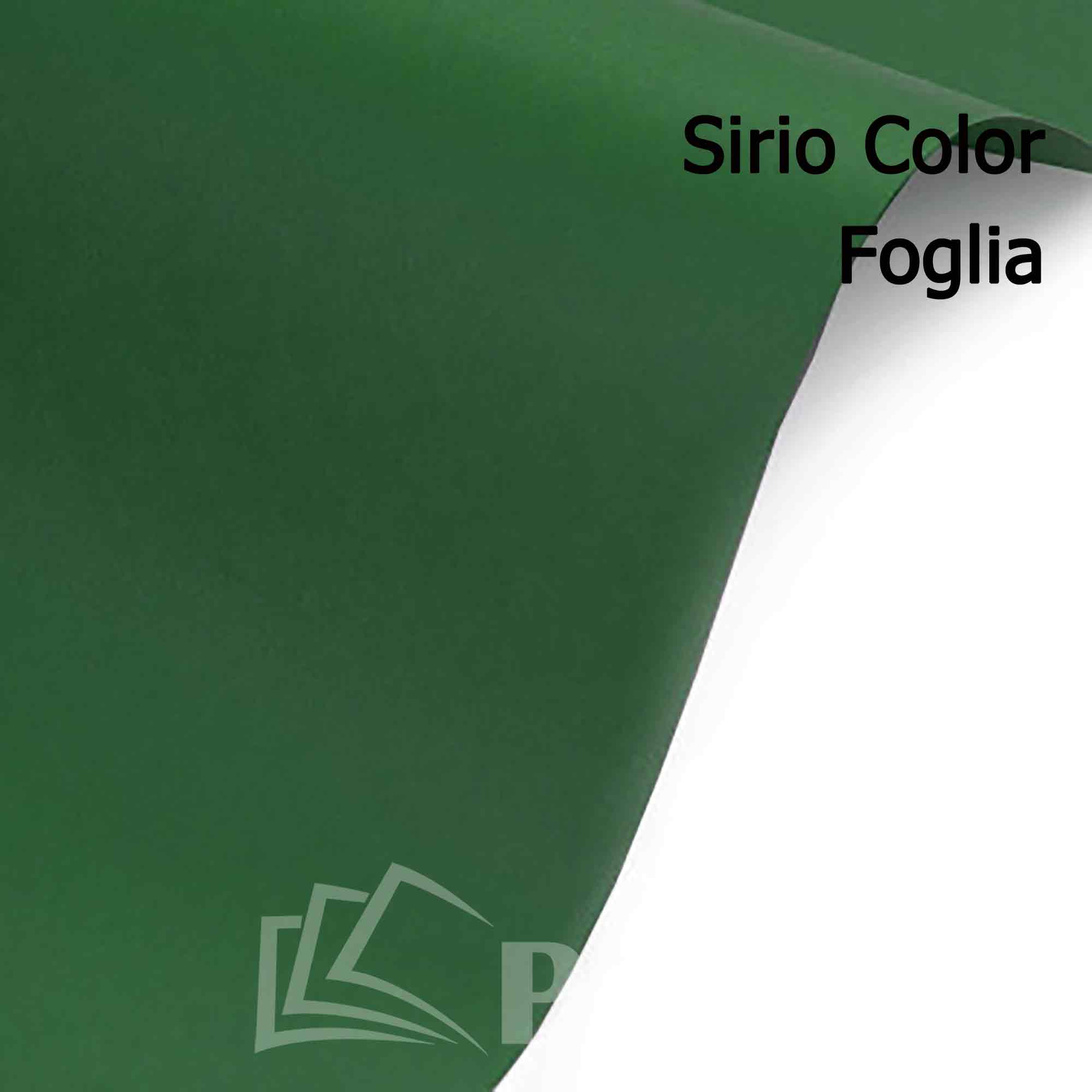 Sirio Color Foglia 170 70х100