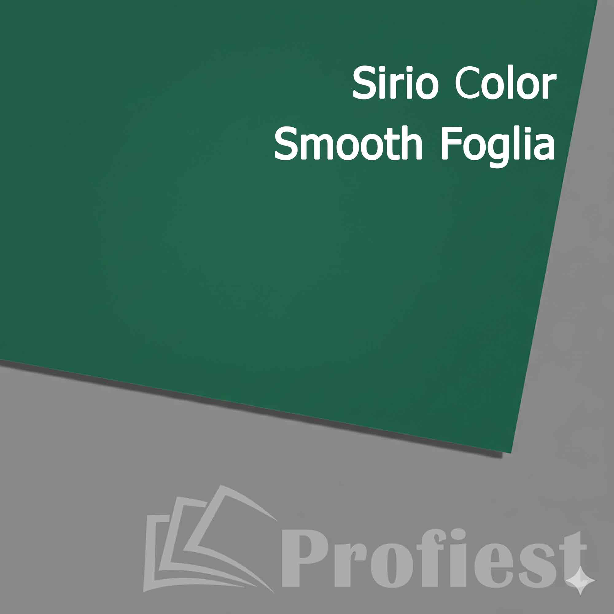 A4: Sirio Color Foglia 170g