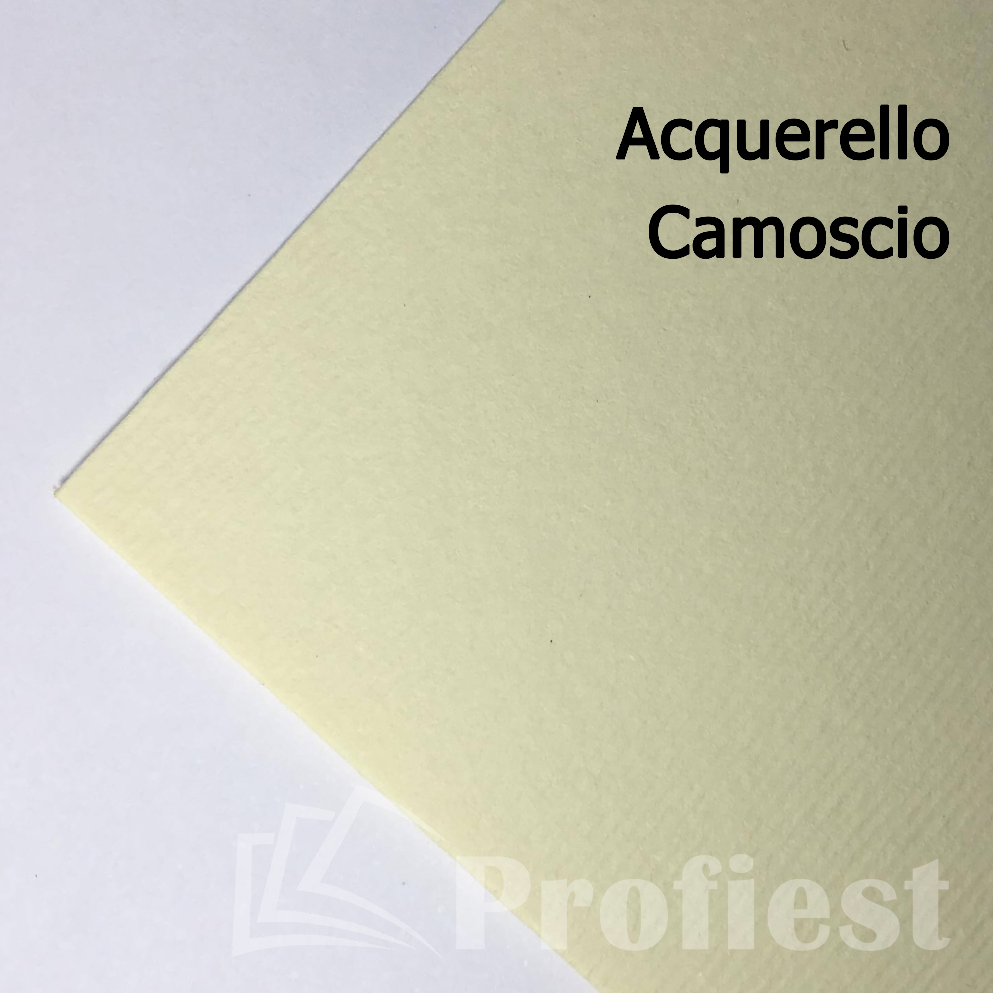 A4: Acquerello Camoscio 160g